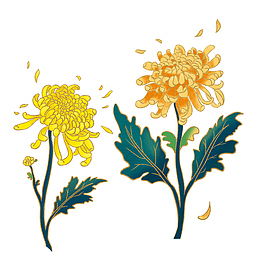 秋天海报，重阳节，菊花