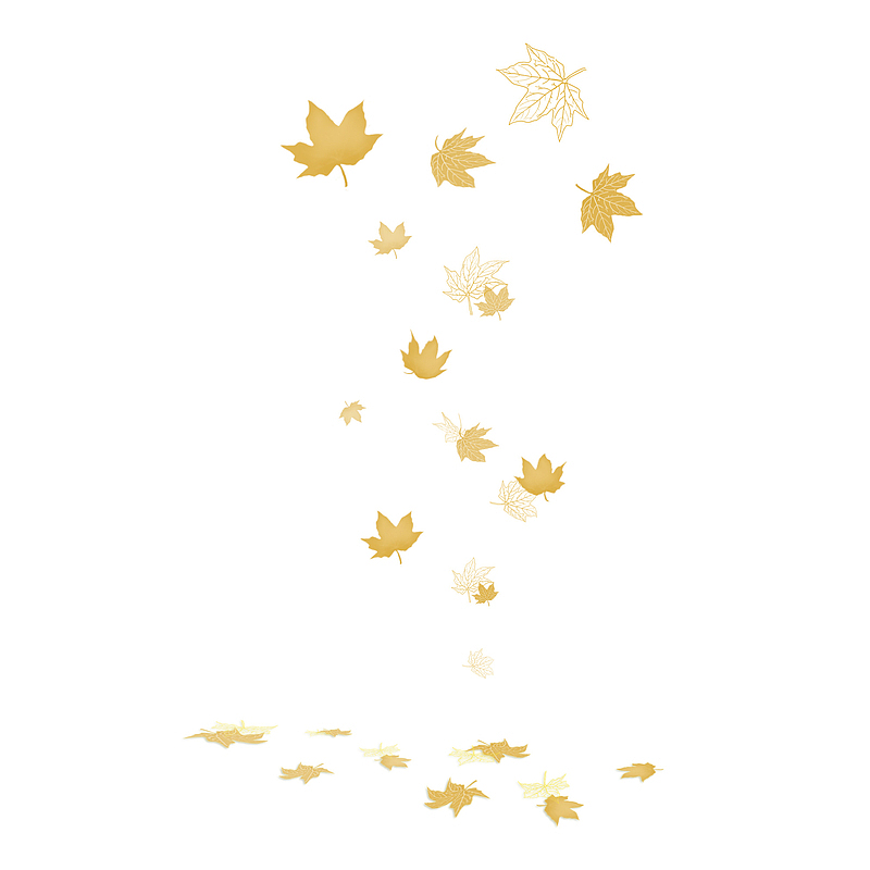 秋天黄色枫落叶图