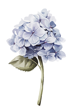 绣球花手绘元素