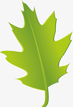 叶子树叶素材_叶子树叶图片元素-觅元素