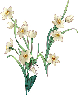 古风国潮风水仙花