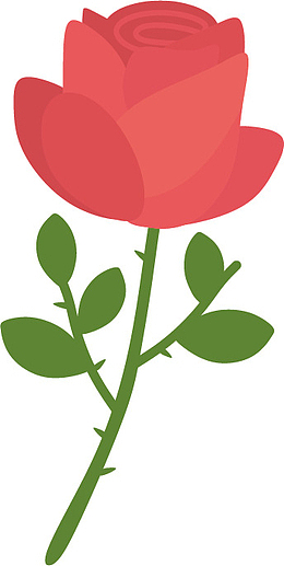 花 玫瑰花 小王子玫瑰花