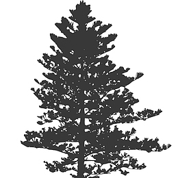 矢量树木的剪影