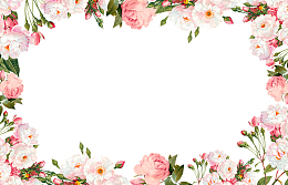 蔷薇花边框花边