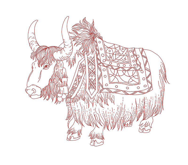 西藏牦牛线稿