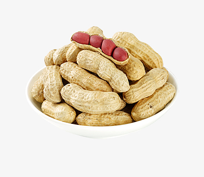 生花生米素材_生花生米图片元素-觅元素