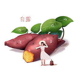 二十四节气白露立秋插画红薯元素