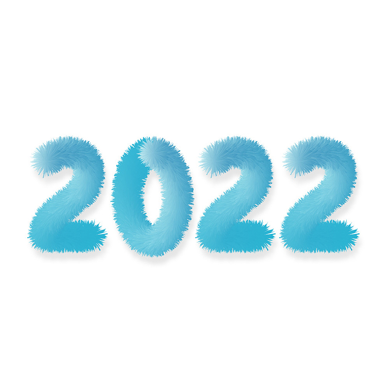 2022蓝色大标题毛绒字
