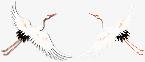 白鹤，仙鹤插图插画