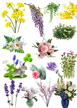 花朵素材 免扣植物素材 绿色鲜花元素素材