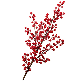 浆果枝  红色果子 发财果