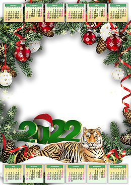 2022新年虎日历