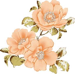 山茶花素材粉色