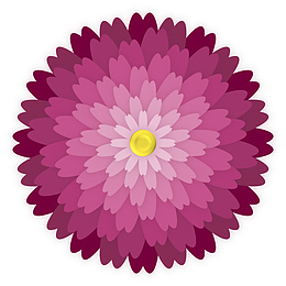 透明的,孤立,3d,图片