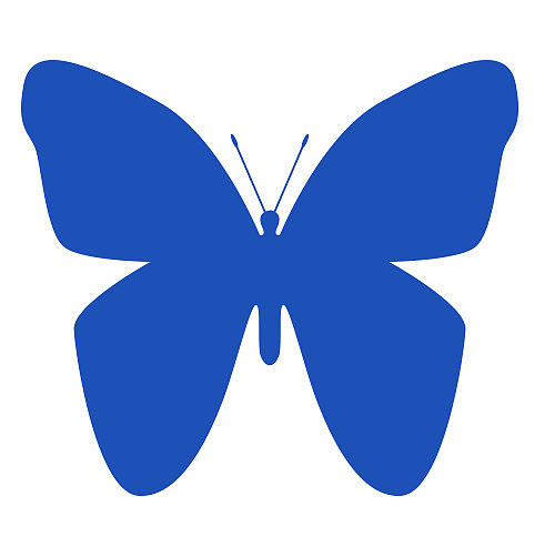 一直蓝色的蝴蝶剪纸呀
