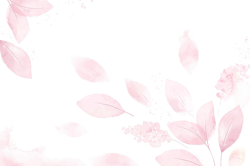 粉色情人节叶子背景