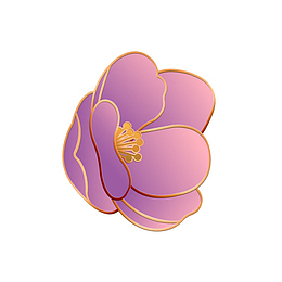 梅花的秘密