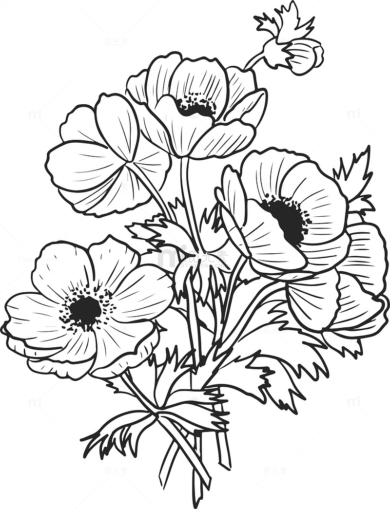 线稿花朵，手绘花