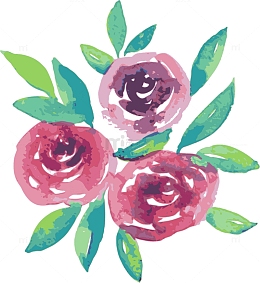 手绘玫瑰花