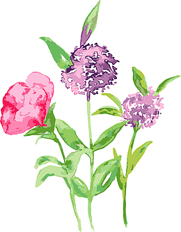 手绘,水彩,水墨花朵,国风花朵