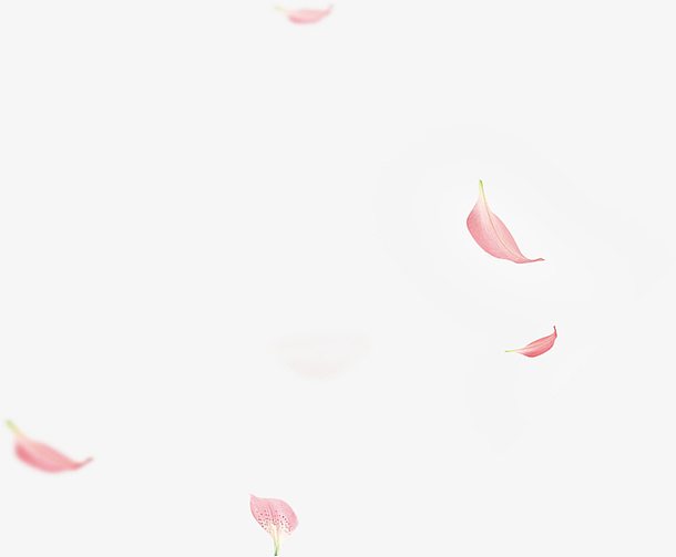 粉色 花瓣  漂浮元素