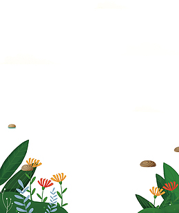 植树节草叶背景