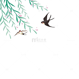 春天柳条燕子