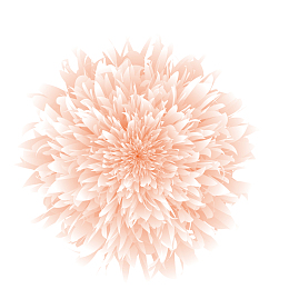 粉色 手绘 牡丹花 夏日浪漫