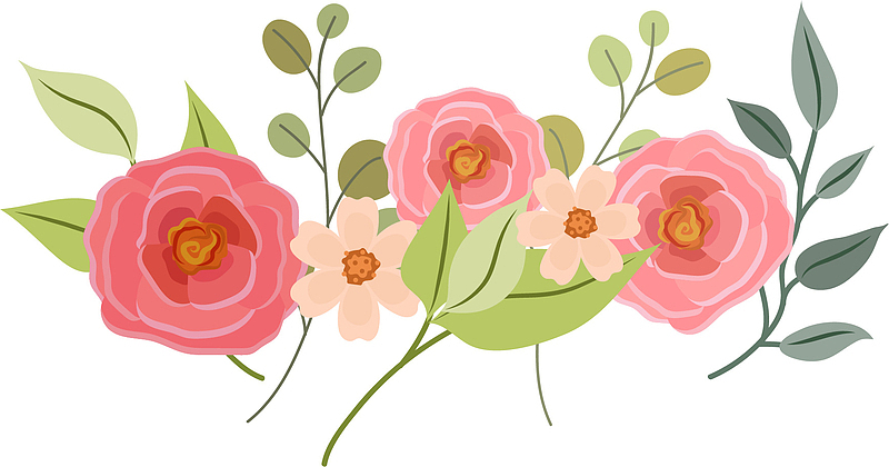 粉色手绘漂亮玫瑰花