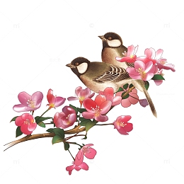 中式传统清新唯美桃花树枝小鸟