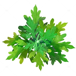 绿色小清新手绘艾草端午节艾叶