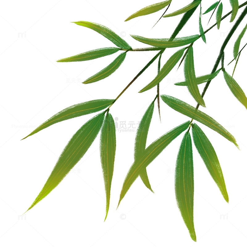 绿色小清新竹叶端午节手绘图