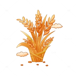 手绘简约芒种节气麦穗装饰元素