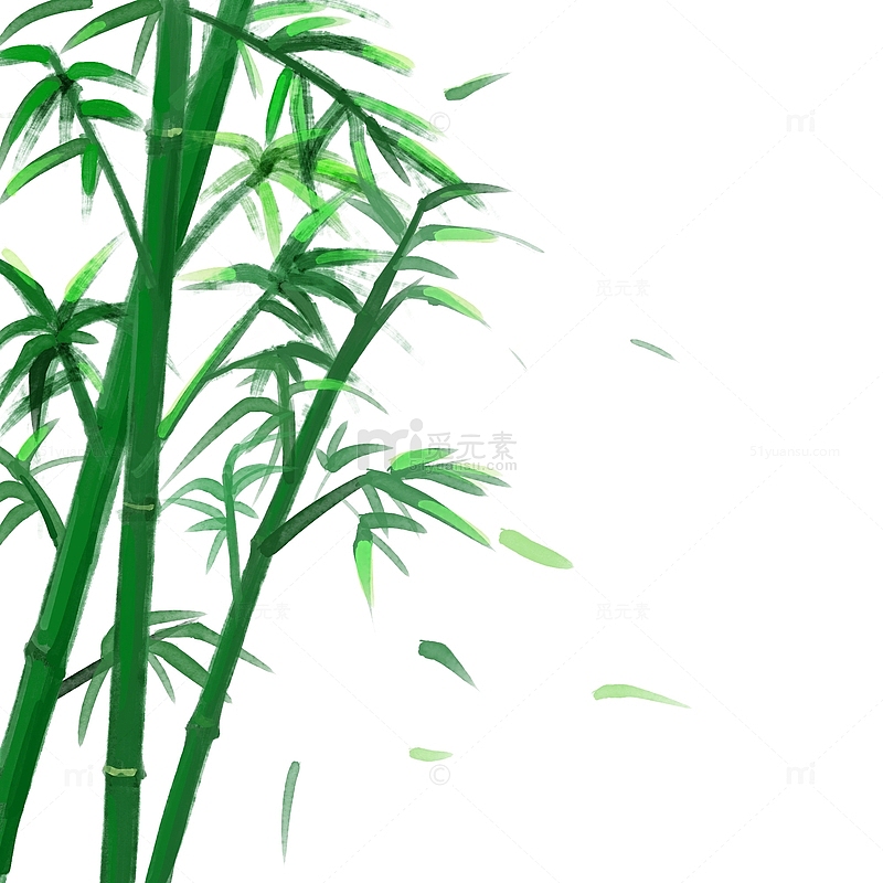 手绘端午节竹子元素
