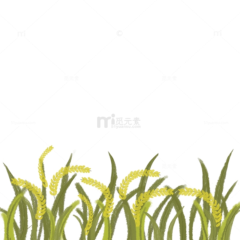 黄色小清新水稻麦草芒种手绘图