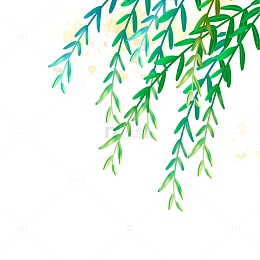 绿色小清新夏天春天柳叶