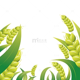 绿色小清新小麦麦穗芒种手绘元素图