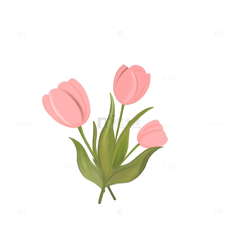 粉色小清新郁金香花朵手绘图