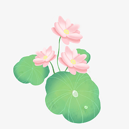 绿色小清新荷花荷叶池塘夏至手绘图