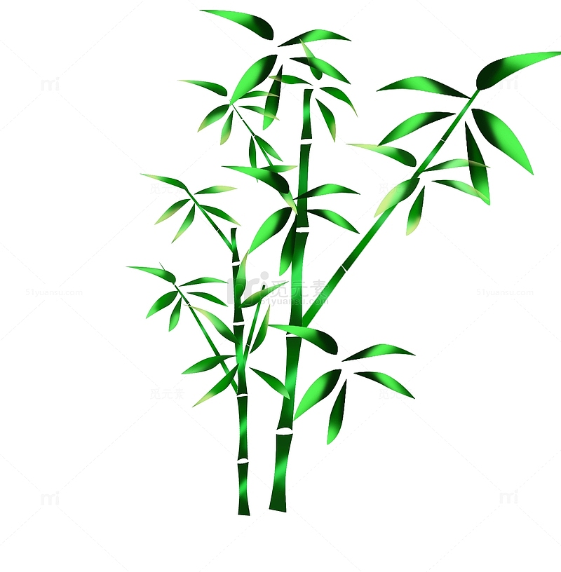 绿色手绘小清新端午竹子