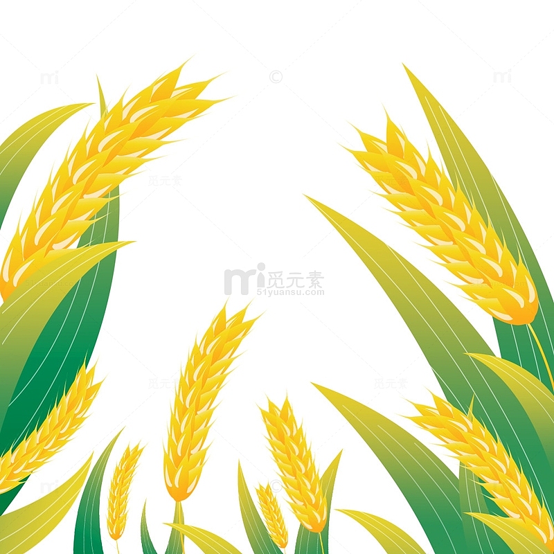 绿色小清新节气芒种麦穗小麦手绘元素图