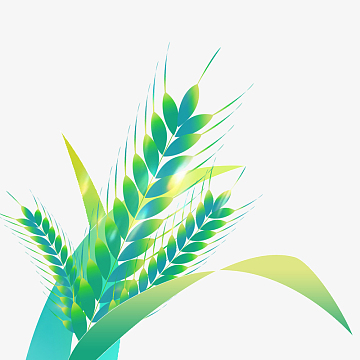 渐变蓝色小清新芒种麦穗小麦装饰元素手绘图
