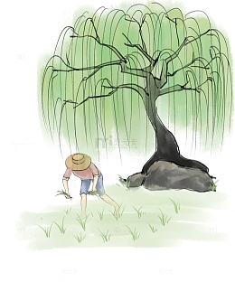 绿色清新水墨风插芒种秧图