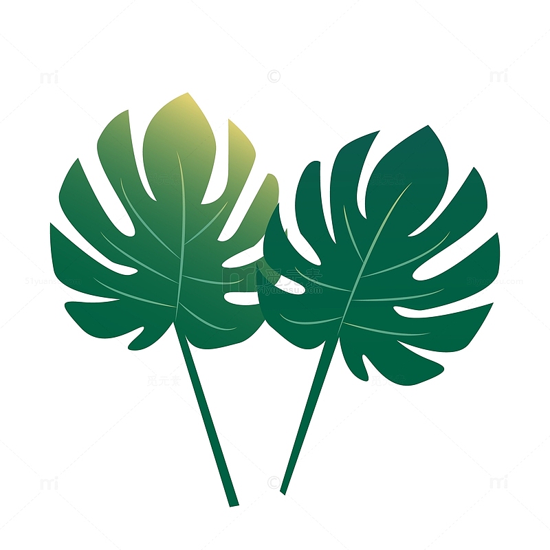 绿色小清新热带植物夏季元素