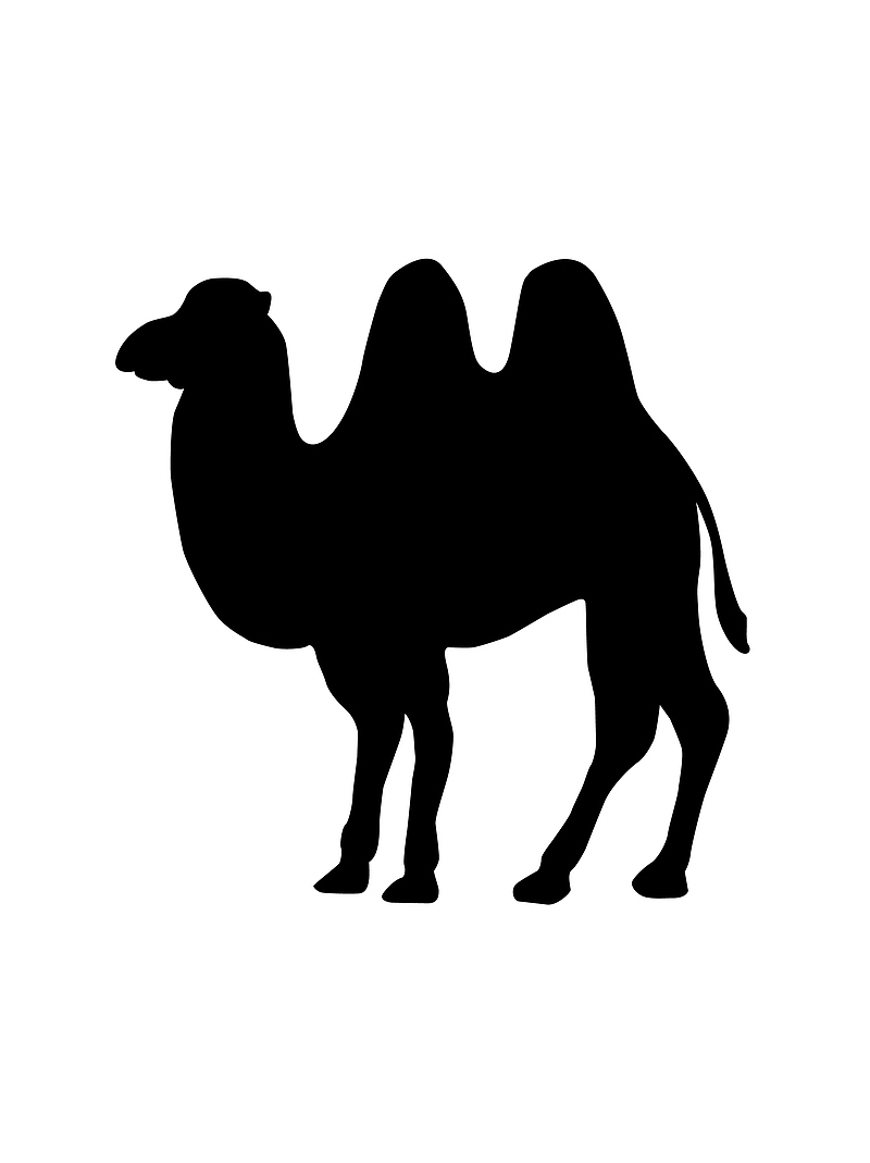 黑白简约风格骆驼剪影矢量元素