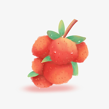 手绘红色水彩风格夏至荔枝水果装饰元素