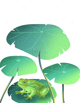 绿色手绘夏至荷叶青蛙荷花插画元素