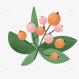 小清新植物装饰花果噪点手绘图