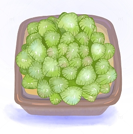绿色手绘多肉盆栽植物