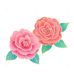 粉色金边茶花国潮元素